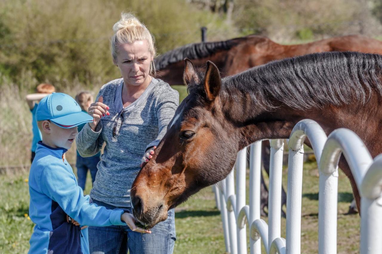 Palac Pod Bocianim Gniazdem Runowo  Exteriér fotografie